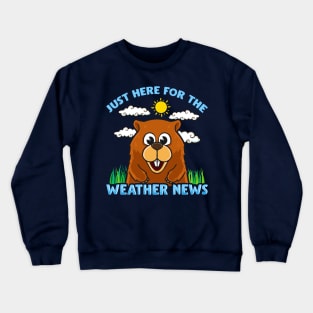 Groundhog Day Just Here For Te Weather News Crewneck Sweatshirt